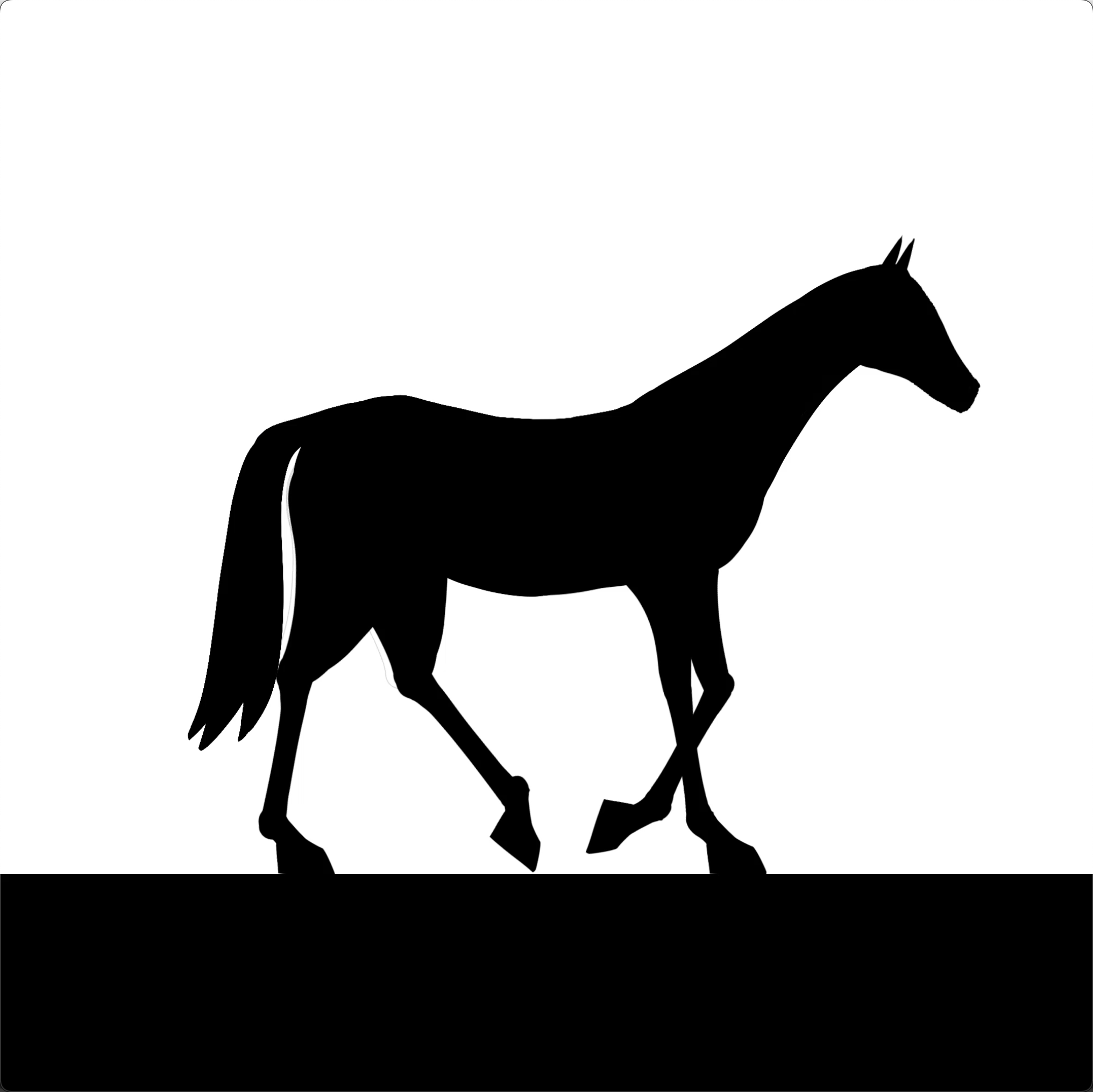 Horse Walk-cycle